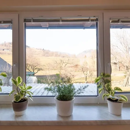 아파트 Bled House 지고르니예 고르예